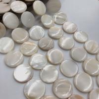 Natural Freshwater Shell Beads, Round 