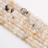 Natural Ocean Agate Beads, Round, polished, DIY 