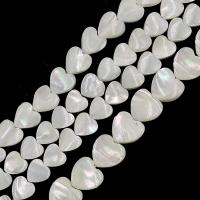 Natural White Shell Beads, Heart 