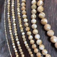 Turbanschnecken Perlen, Muschel, rund, poliert, verkauft von Strang