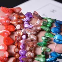 Granos de la cáscara teñido, Concha de perla, color mixto, 19x11mm, Vendido por UD