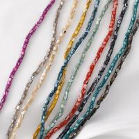 perle de coquillage teint, coquille, DIY, plus de couleurs à choisir Vendu par brin
