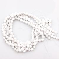 Howlite Beads, polished, DIY & faceted, white 