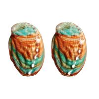 Muschel-Dekoration, Trompete Muschel, natürlich, gemischte Farben, 60mm, 500PCs/Tasche, verkauft von Tasche
