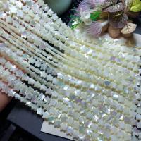 Natural White Shell Beads, Carved, DIY 