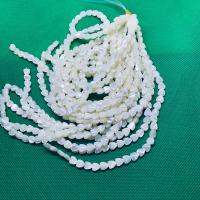Natural White Shell Beads, polished, white, 6mm 