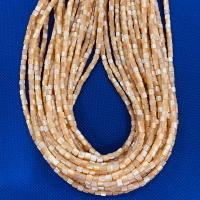 Natural White Shell Beads, polished 
