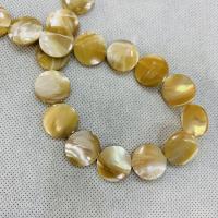 Natural White Shell Beads, polished 15mm 