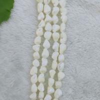 Natural White Shell Beads, polished, white 