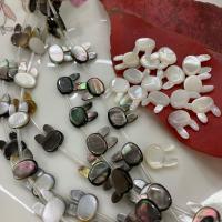 Natural Freshwater Shell Beads, polished 