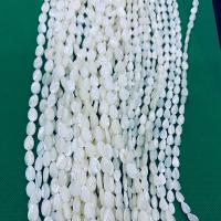 Natural White Shell Beads, Leaf, polished, white 
