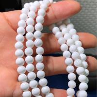 108 Perlen Mala, Muschel, poliert, weiß, 6mm, 108PCs/Strang, verkauft von Strang