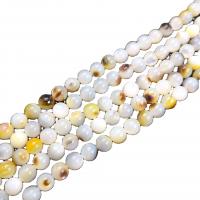 Black Lip Shell Beads, Round, polished, DIY white 