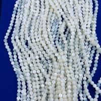Natural White Shell Beads, Round, polished Approx 40 cm 