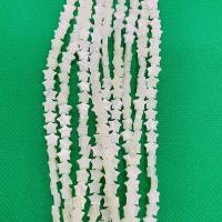 Natural Freshwater Shell Beads, polished 10mm 