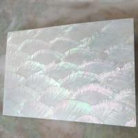 coquille Shell Sheet, rectangle, DIY, blanc Vendu par PC