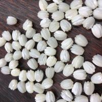 Natural White Shell Beads, Flower, Carved, DIY, white 