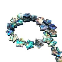 Abalone Shell Beads, Star, DIY 