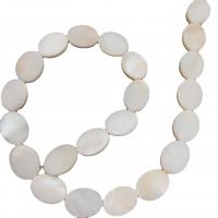 Perles en coquille naturel, coquille d'eau douce, ovale, DIY, blanc Vendu par brin
