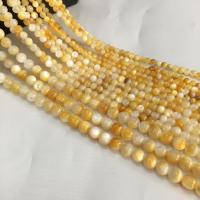 Abalorios de Nácar Amarilla Natural, Concha de perla, Esférico, pulido, longitud:aproximado 38 cm, Vendido por Sarta