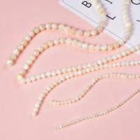 Natural Freshwater Shell Beads, Round, polished, DIY white 