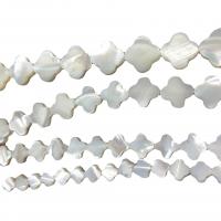 Turbanschnecken Perlen, DIY & verschiedene Größen vorhanden, weiß, verkauft von Strang