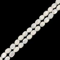 La Perla de Concha Natural, Nácar, Óvalo, pulido, Bricolaje & diverso tamaño para la opción, Blanco, Vendido por Sarta
