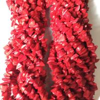 Abalorios de Coral, Irregular, Bricolaje, Rojo, 3-8mmx12-18mm, Vendido por Sarta