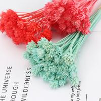 Decoración de Flores Artificiales, Flores secas, Sostenible & Bricolaje, más colores para la opción, 500mm, Vendido por UD