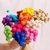 Decoración de Flores Artificiales, Flores secas, Sostenible & Bricolaje, más colores para la opción, 500mm, Vendido por UD