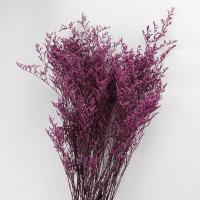 décoration de maison de fleur artificielle, Fleurs séchées, durable & DIY, plus de couleurs à choisir, 700mm, Vendu par sac