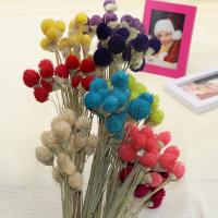 décoration de maison de fleur artificielle, Fleurs séchées, durable & DIY, plus de couleurs à choisir, 500mm, Vendu par sac