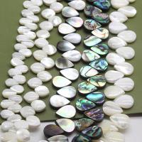Natural Freshwater Shell Beads, Teardrop 