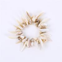 Freshwater Shell Bracelet, white cm 