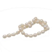 Perle comme Pommes de terre perles d'eau douce, perle d'eau douce cultivée, blanc, 10-11mm, Vendu par brin