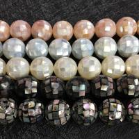 Mosaic Style Shell Beads, Mosaic Shell, polished 16mm 