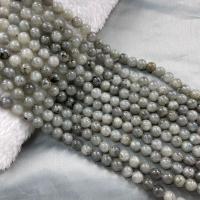 Labradorit Perlen, rund, DIY, grau, Länge:38 cm, verkauft von Strang