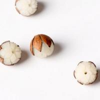 Bodhi Root Beads, with Wood, Flower, Carved, white, 17-18mm 