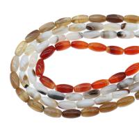 Natural Lace Agate Beads, Oval, DIY Inch 