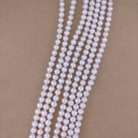 Round Cultured Freshwater Pearl Beads, white, 6-6.5mm Approx 15.74 Inch 