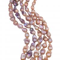 Barock kultivierten Süßwassersee Perlen, Natürliche kultivierte Süßwasserperlen, Klumpen, natürlich, farbenfroh, 14-15mm, ca. 16PCs/Strang, verkauft von Strang