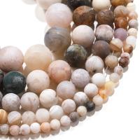 Natural Bamboo Agate Beads, Round, polished, DIY & frosted .96 Inch 