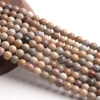 Marine Fossil Beads, Round, polished, DIY, sienna cm 