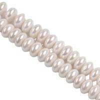 Shell Pearl Beads, DIY, white cm 