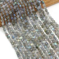 Labradorite Beads, Flat Round, DIY & faceted, mixed colors, 6mm 