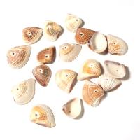 Perles de coquille de mer, Irrégulière, DIY, couleurs mélangées, 13-17mm Vendu par sac