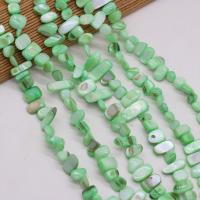 Perles en coquille naturel, coquille d'eau douce, chips, DIY, vert, 8x15- cm, Vendu par brin