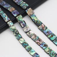 Abalone Shell Beads,  Square, DIY, mixed colors 