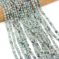 Lotus Jaspis Perlen, Lotos Jaspis, flache Runde, DIY & facettierte, gemischte Farben, 6mm, Länge:38 cm, verkauft von Strang