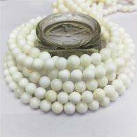 Perles en coquille naturel, coquille d'eau douce, Rond, poli, DIY, blanc cm, Vendu par brin